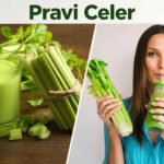 Pravi Celer