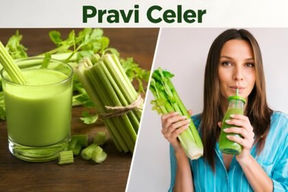 Pravi Celer