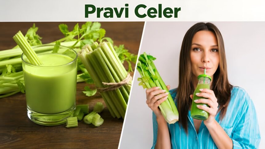 Pravi Celer