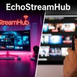 EchoStreamHub